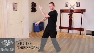 Biu Jee form - Wing Chun Kung Fu - Performed by Scott Smith of Dragon Tao Kung Fu