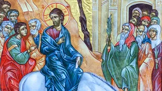 Sun, April 28, 2024 at 10:00 AM | Divine Liturgy: Palm Sunday • Вербна неділя