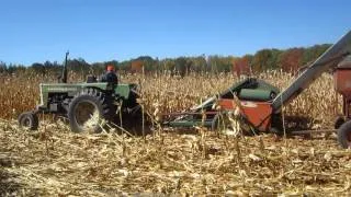 corn picking 027