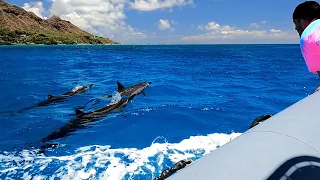 The Adventure Boat - The Best Private Boat Tour in Waikiki!