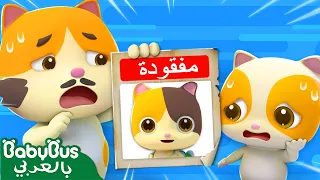 فقدت ميمي في المركز التجاري | كرتون اطفال | رسوم متحركة اطفال | بيبي باص | BabyBus