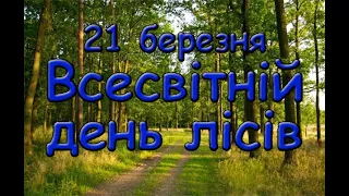 21 березня  Всесвітній день лісів. Історія свята. Традиції.