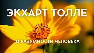 О разумности человека - ЭКХАРТ ТОЛЛЕ [Nikosho]