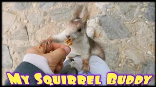 FUNNY SQUIRREL JUMPS on ME to GRAB a NUT 🐿️💕