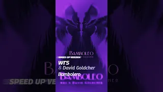 wrs x David Goldcher - Bamboleo (SPEED UP)