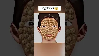 ASMR Removal of dog ticks from face #asmr #animation #satisfyingvideo