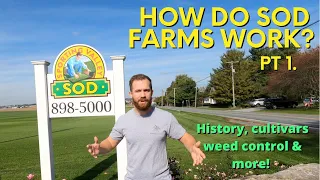 How Do Sod Farms Work? (pt.1)