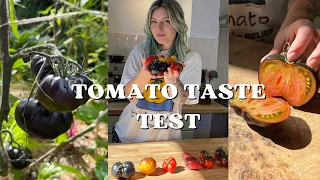 Do Unusual Tomatoes Taste As Good As They Look? Taste Test - inthecottagegarden