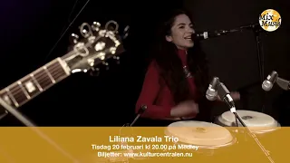 Liliana Zavala Trio promo