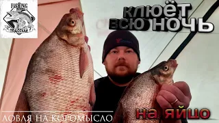 КРУПНЫЙ ЛЕЩ НА ЯЙЦО! Ночная ловля леща на коромысло Первый лёд