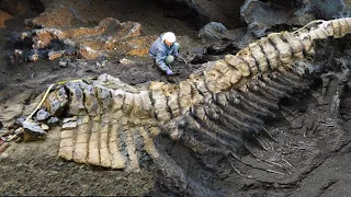 10 Most Amazing Prehistoric Creatures Recently Discovered!