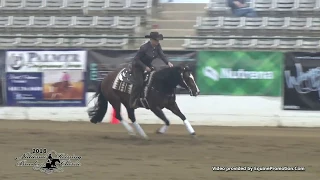 Night Time Spook ridden by Kelle L. Smith  - 2018 NRBC (NP Prelims)