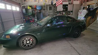 2001 Bullitt Mustang Walkaround