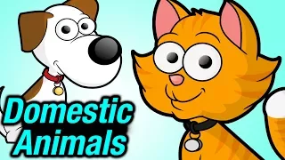 Domestic Animals | 3D Animated Video For Kids | #AnimalsNames | Simba Tv