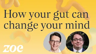 How your gut can change your mind | Professor John Cryan