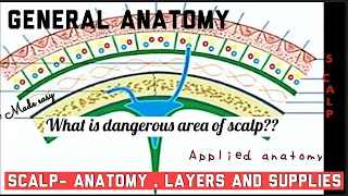 SCALP II EXTENT, LAYERS AND SUPPLIES II APPLIED ANATOMY II GENERAL ANATOMY