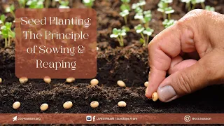 Seed Planting: The Principle of Sowing & Reaping