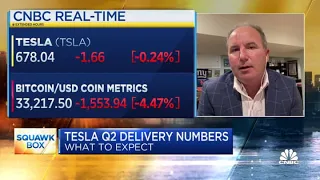 Wedbush's Dan Ives on what he expects from Tesla's Q2 delivery numbers