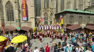 "Tribute to Troy" & "Fight On!" - USC Trojan Marching Band in Vienna