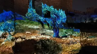 A Sound & Light Show at the Tower of David (5/28)