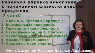 2 фильм "Формировка винограда- методы, принципы, виды" Кордон