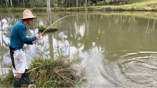 O coração vai a mil quando o trairão da esse salto, pescaria de tilápias e traíra bruta!!!