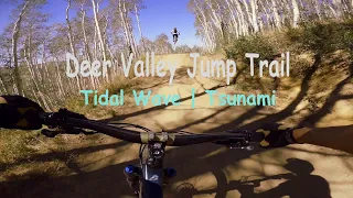 Bike Park Virgin | Tidal Wave / Tsunami Jump Trail | Deer Valley | VanCo MTB