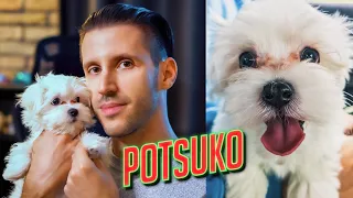 Lett egy KIKKUTYÁM 🐶