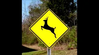 Please Move The Deer Crossing Sign 😂🤣