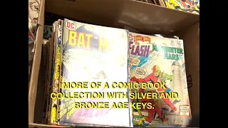 More of a Comic Book Collection Full of Silver and Bronze.