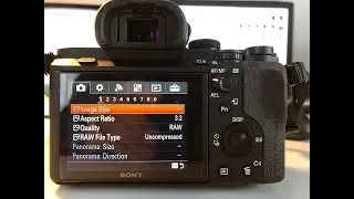 Menu Sony Alpha 7 II, partea I (film 003 / 2019)
