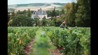 Champagne Château de Bligny - In Vino radio