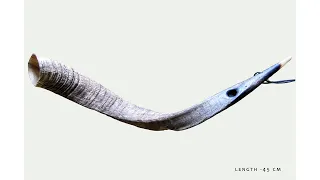 22. Kudu Horn – South African side blown instrument.