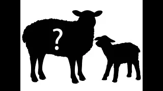 Identifying True Worship, Part 8: The Other Sheep doctrine of Jehovah's Witnesses