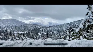 🥶Driving up Hwy 38 to a⛷️Snowy🏂 Winterland in Big Bear CA after seasons biggest #snow storm. 2/9/24.