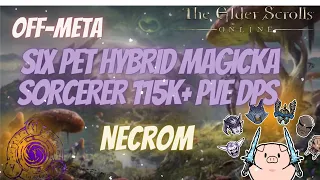 ESO Off Meta Six Pet Hybrid Magicka Sorcerer (MagSorc) 115k+ PVE DPS Necrom DLC Build