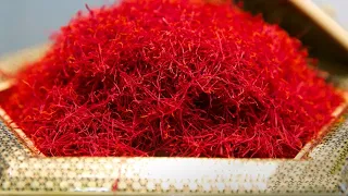 The Pricey Spice: Why Saffron is Worth More Than Gold!