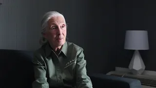 In conversation with Dr. Jane Goodall