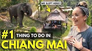 OUR FAVOURITE DAY IN THAILAND | Must Do this in CHIANG MAI (24hrs at Ethical Elephant Sanctuary )