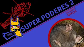 Animales con Super Poderes 2: Tokyo Drifting. | Ep 55 | CULTURA COLMILLUDA