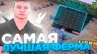 *80 ГРЯДОК* 24 ЧАСА РАБОТАЮ НА СВОЕЙ ФЕРМЕ ЛЬНА И ХЛОПКА - ЛУЧШЕ ЛЮБОГО БИЗНЕСА? ARIZONA RP (SAMP)