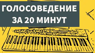 ГОЛОСОВЕДЕНИЕ ЗА 20 МИНУТ. Основные принципы и законы