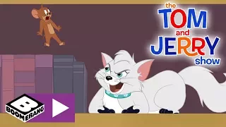 The Tom and Jerry Show | Jerry vs The Posh Kitty Princess | Boomerang UK