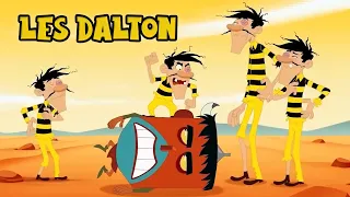 Les Dalton | Le meilleur de 2020 | 4h d'épisodes (FR)