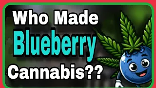 Cannabis Strain Legend: DJ Short (Know Your Blueberry Breeder)
