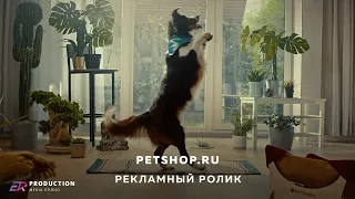 Petshop.ru | Рекламный ролик