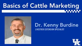 Basic Beef Cattle Marketing Concepts