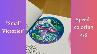 Speedcoloring Small Victories/ Kleine Wunderwelten Johanna Basford Prismacolor colored pencils 4/6