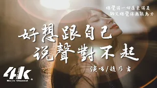 趙乃吉 - 好想跟自己說聲對不起『對不起總是給你壓力，活成自己最討厭的自己。』【高音質|動態歌詞Lyrics】♫ · 翻唱歌曲 (原唱:張熙若)