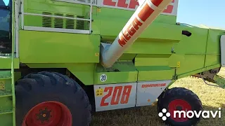 молотим озимого ячменя  07.08.2021.CLAAS MEGA 208